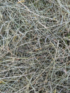 The hay turn colors from green to tan. On average, it takes about three days per field, depending on the size of the field and the weather, to complete the entire process of mowing, raking, and baling hay.