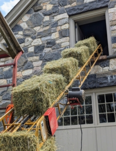 Then each bale is placed on the hay elevator which sends it up to waiting hands. Baling hay is a team effort. Each bale is about 15 by 18 by 40 inches large. The number of flakes in the bale is determined by a setting in the baler. Many balers are set for 10 to 12 flakes per bale.