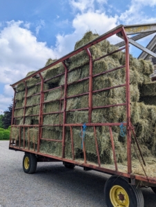 The hay trailer has high walls on the left, right, and back sides, and a short wall on the front side to contain the bales which are stacked neatly from back to front. Once a trailer is full, it is driven to the hayloft above my stable.