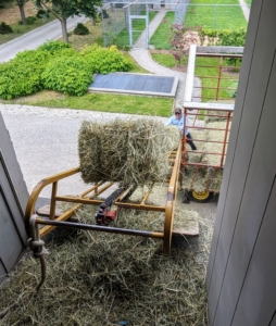 Here is the view from the top end of the loft as the bales are sent up.