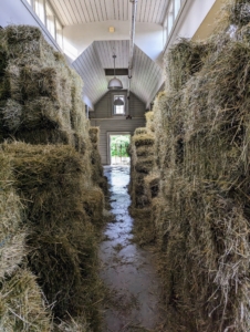 We collected so many bales, there's just a narrow aisle in between the tall stacks.