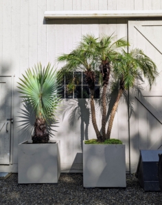Displaying plants outdoors is an easy way to add color, texture, and nature to any space. They're definitely a good thing.
