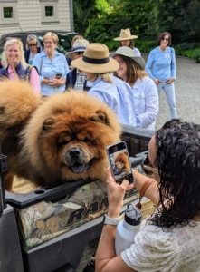 My Chow Chows made a quick appearance. Everyone loves to meet Emperor Han and Empress Qin.