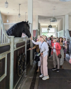 The tour met my Friesians. Hylke loves to greet visitors - he is always hopeful for a treat.