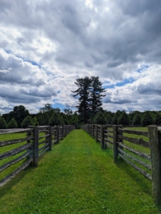 And here's another view of lawn between the horse pastures with the tall eastern white pines in the distance. I have a fleet of ride-on mowers to mow the large open spaces, but they cannot access the more narrow areas...