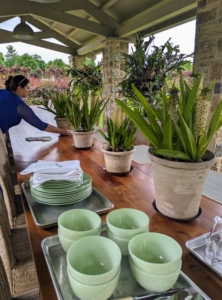 Enma set the table for nine using a spring green colored table setting.