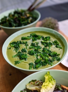 This is chilled broccoli soup made using broccoli just cut from my new half-acre garden the day before. My garden is producing the most wonderful vegetables.