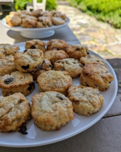 For this tour, I made currant scones from "The Martha Stewart Cookbook: Collected Recipes for Every Day."