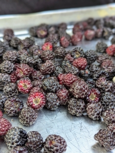 My tip for freezing is to place a layer of berries onto a baking sheet and freeze them until they are solid, then transfer them into plastic bags or containers, so they store easily back in the freezer.