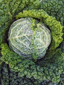 Savoy cabbage has crinkled, emerald green leaves, and a mildly nutty and sweet flavor.