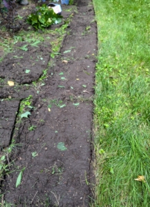 Sod is removed from the areas to be planted.