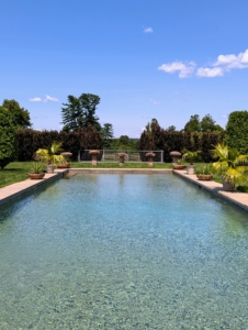 I’ve worked hard to develop the pool's surroundings and am so pleased with how well everything has grown. This is one of my favorite summertime areas of the farm.