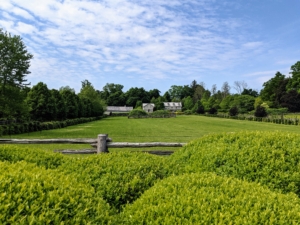 Remember this view? I designed the maze in this three acre pasture in front of my Winter House, so I could see it right from my window.