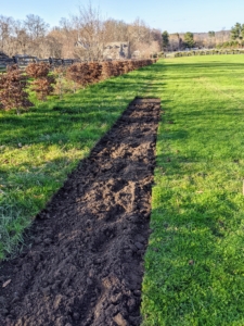 As each puzzling path bed is cleared of sod, the spaces are measured and marked, the plants are carefully counted and placed, and then planted, watered and top dressed with nutrient-rich mulch.