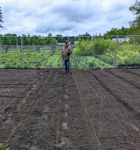 By spring, Fernando started creating the raised garden beds. Landscape twine was used as a guide, so every bed and footpath was perfectly straight.