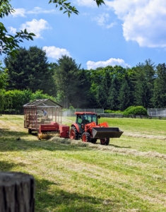 In June, my outdoor grounds crew baled our first cut of hay. My foreman, Chhiring Sherpa, is our resident hay expert and has done an excellent job managing the process of cutting, fluffing, raking, and then baling the hay.