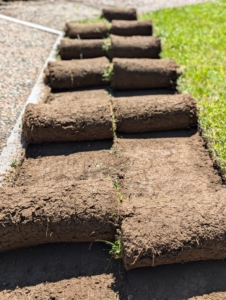 Two foot wide strips of sod are removed and rolled up in sections for easy carrying. It may not look it, but a section of sod can weigh between 15 and 30 pounds per piece, depending on the moisture content of the soil.