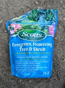 A good fertilizer made especially for evergreens, trees and shrubs should be used. This Scotts Miracle-Gro Evergreen, Flowering Tree & Shrub fertilizer is fortified to help with transplant survival, increased water and nutrient absorption, and to encourage vigorous root growth and lush foliage.