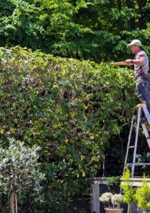 Here's Phurba trimming the top of the hedge behind my Winter House.