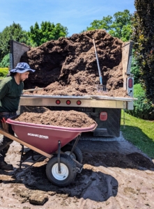 Not long ago, the crew started taking on the task of mulching all the beds at the farm. Here, Alex takes a wheelbarrow of mulch to the maze. This mulch is made right here - downed trees are ground multiple times by a tub grinder I call in every couple of years.