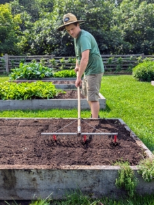 In a couple of the smaller beds, Ryan plants more vegetables as part of a process called succession planting, meaning planting at different times, so there is a consistent supply of harvestable produce throughout the season.