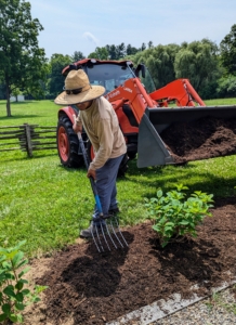 Chhiring is careful not to bury the plants too deeply.