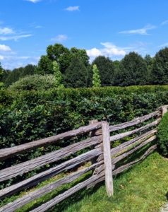 I also trim the hedges in layers, so they can be seen from afar.