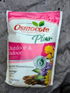 These plants are given Osmocote Plus from Miracle-Gro, a controlled release fertilizer that's ideal for container plants.