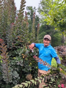 Pasang Sherpa is my resident tree pruner. He does a wonderful job overseeing the maintenance of all the trees here at my farm. I like as much of the pruning and grooming to be done by hand, so Pasang trims every branch with his pruners - one by one.