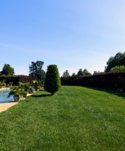 There is also lush green lawn on all four sides of the pool. All surrounded by the necessary pool fence disguised by tall hedges. The inside hedge is made of columnar beech trees. These are fastigiate meaning their branches slope upward more or less parallel to the main stem.