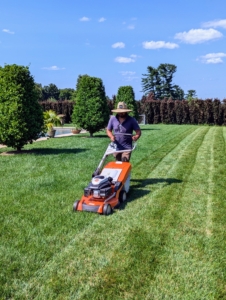 On this day, Adan Morales, my mower extraordinaire, cuts the pool lawn using our STIHL RM 655 VS push mower. This 21-inch gas powered mower provides really sharp, accurate cutting and easy bagging. It's perfect to use in this enclosed area.