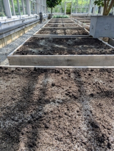 There are 16 wooden garden boxes in this greenhouse. They fit the entire length and width of the space. Right now, all my crops are growing outdoors in my large half-acre vegetable garden, but this greenhouse is well maintained off-season, so it is ready to plant in the fall.