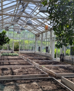 This is my vegetable greenhouse. This structure is located near my Equipment Barn. It uses minimal artificial heat, where many cold hardy crops and other greens can be grown and harvested through the winter.