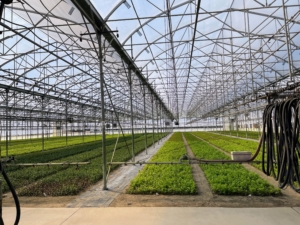 The Bailey facilities are massive. The group started at Nord Farm in the propagation greenhouse.