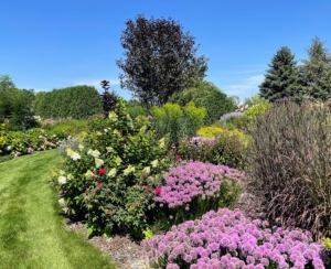 Outdoor displays show other flowering plants offered by Baileys.