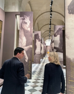 This was my seventh or eighth visit to Versailles - I see new things each visit. As you know, the equestrian events were held at Versailles. We walked through this "Horse in Majesty: At the Heart of a Civilization" exhibit showing role of the horse in the history of Western art.