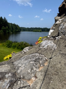 Here is a view of one of the lakes at Daheim. A driveway crosses a stone bridge over a narrow canal that connects the estate’s two main bodies of water.