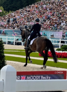 It was so impressive to watch the horses. The word "dressage" is French for "training" and involves performing a series of walks, trots, canters, and other specialized maneuvers learned from muscle memory.