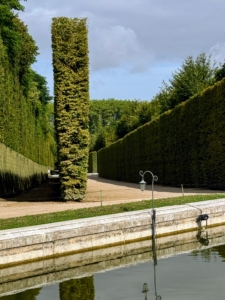 This is one of the many “walks” – a hedge allée from one area to another.