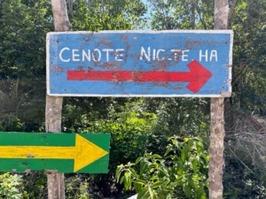 Here's another sign directing drivers to the Nicte Ha Cenote. There are a lot of cenotes in Tulum. A cenote is an underground sinkhole that forms when limestone bedrock collapses and reveals crystal clear water.