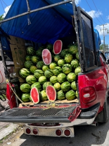 Touring the city of Valladolid, Matt and his sons saw this truck filled with fresh watermelons. Watermelon is very popular in all of Mexico. It is often served in wedges, in fruit cups, or mixed with fresh water, agua fresca.