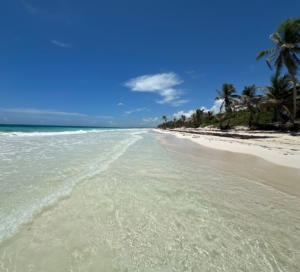 In under five hours by plane, one can be on the gorgeous beaches of Mexico's east coast enjoying the clear Caribbean waters.