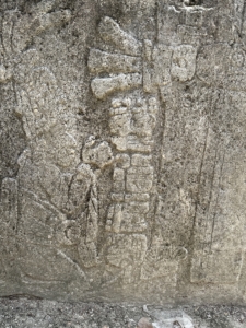 Mayan inscriptions are found on stelae or standing stone slabs. This one shows a figure and part of the Mayan counting system.