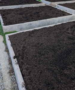 Here at my farm, I spend a good amount of time preparing the soil before planting any seeds. I have 16 wooden garden boxes that fit the entire length and width of my vegetable greenhouse. Earlier this year, the beds were tilled, amended with good compost, and then raked.