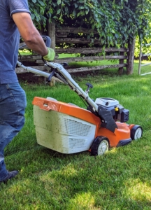 It's still mowing season! And while I have replaced many grassy areas with mulch to reduce the amount of mowing around my farm, there is still a lot of mowing to do. Adan is my resident mower. For narrow spaces he uses this STIHL RM 655 VS push mower.