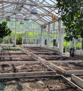 More recently, all the beds were fed, so they're ready to plant. I use a fertilizer specially formulated for growing vegetables - Miracle-Gro® Shake ‘n Feed® Tomato, Fruit & Vegetable Plant Food.