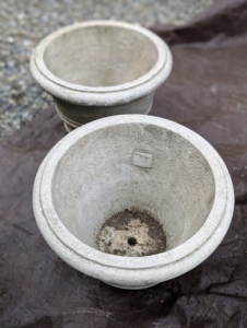 These pots will fit the newly divided sansevieria sections nicely. Clay pots provide a healthy environment for plants because of their porosity, which allows air and moisture to reach the roots and encourage growth.