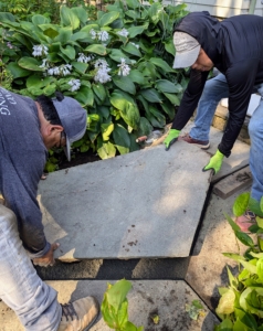 The paver is repositioned, dropped carefully in place, and checked for level. If it is not perfectly level, it is removed again and stone dust is added or removed as needed. It is a trial and error process that takes lots of patience. These three-inch thick bluestone pavers can be very heavy. Large pieces could easily exceed 100-pounds each.