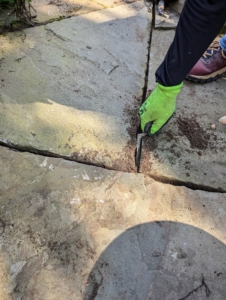 Oscar uses a tuck pointer, or joint filler, to scrape out old stone dust and debris from the joints. This loosens the paver, so it could be removed.