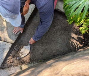 All neighboring pavers are also checked. Here is where an adjacent paver was also removed. Alfonso adds a fresh layer of stone dust, so this slab is at the same height as the others. If pointing is done correctly, it should last about 10 years before needing major repairs.